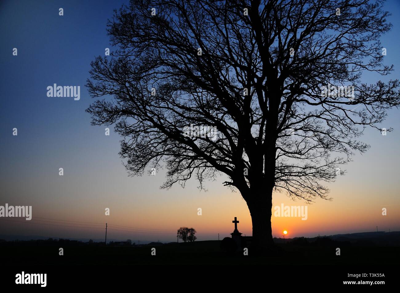 Christian wayside cross, sunset, Allgaeu, Bavaria, Germany, Europe Stock Photo