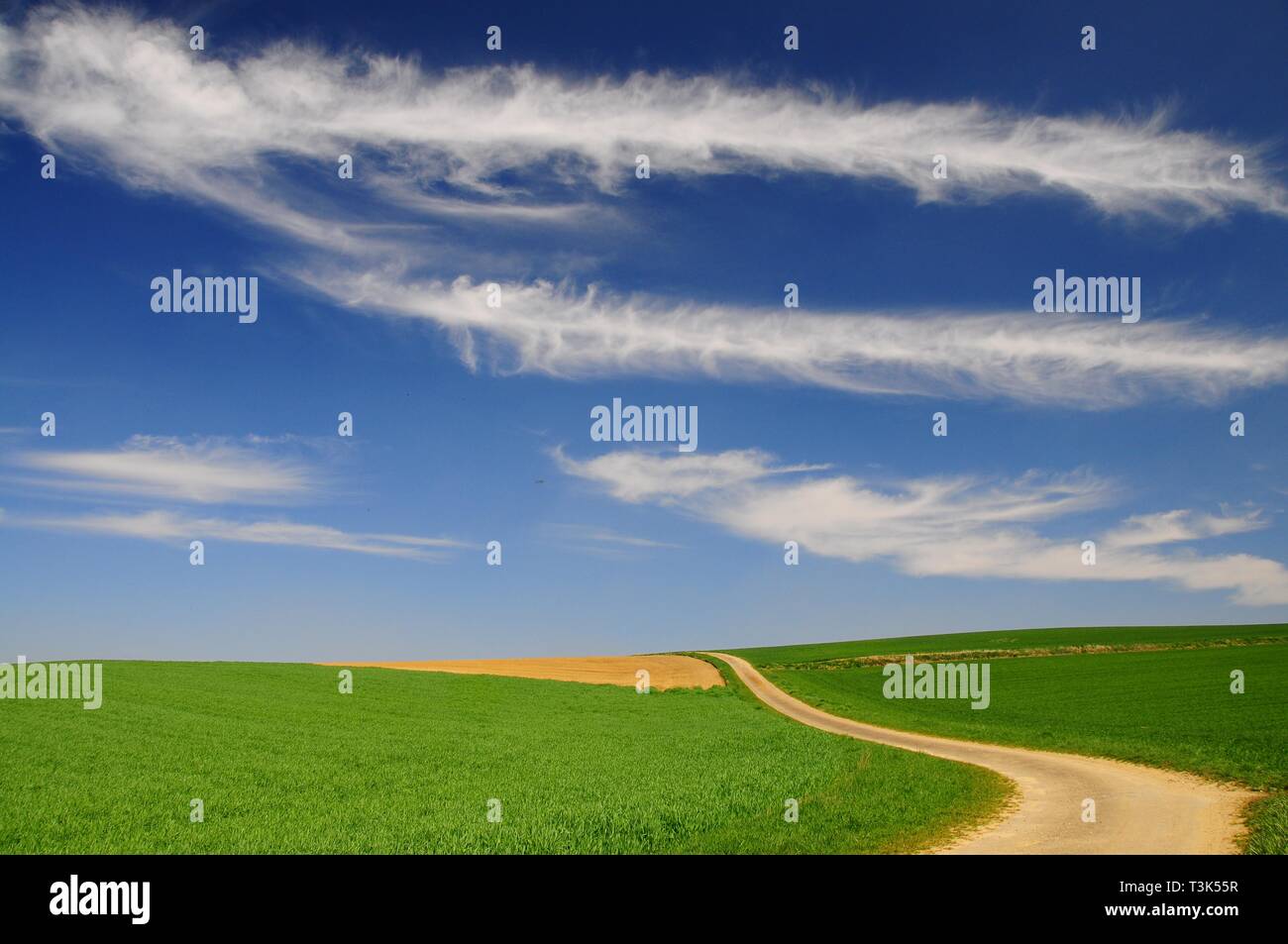 Cirrus clouds, farmland, Bavaria, Germany, Europe Stock Photo