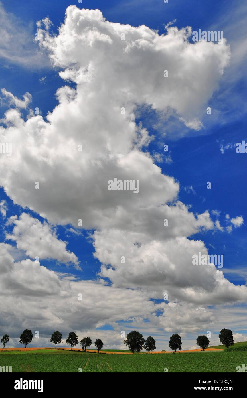 Summery cloudy sky, fields, Unterallgau near Kirchheim, Swabia, Bavaria, Germany, Europe Stock Photo