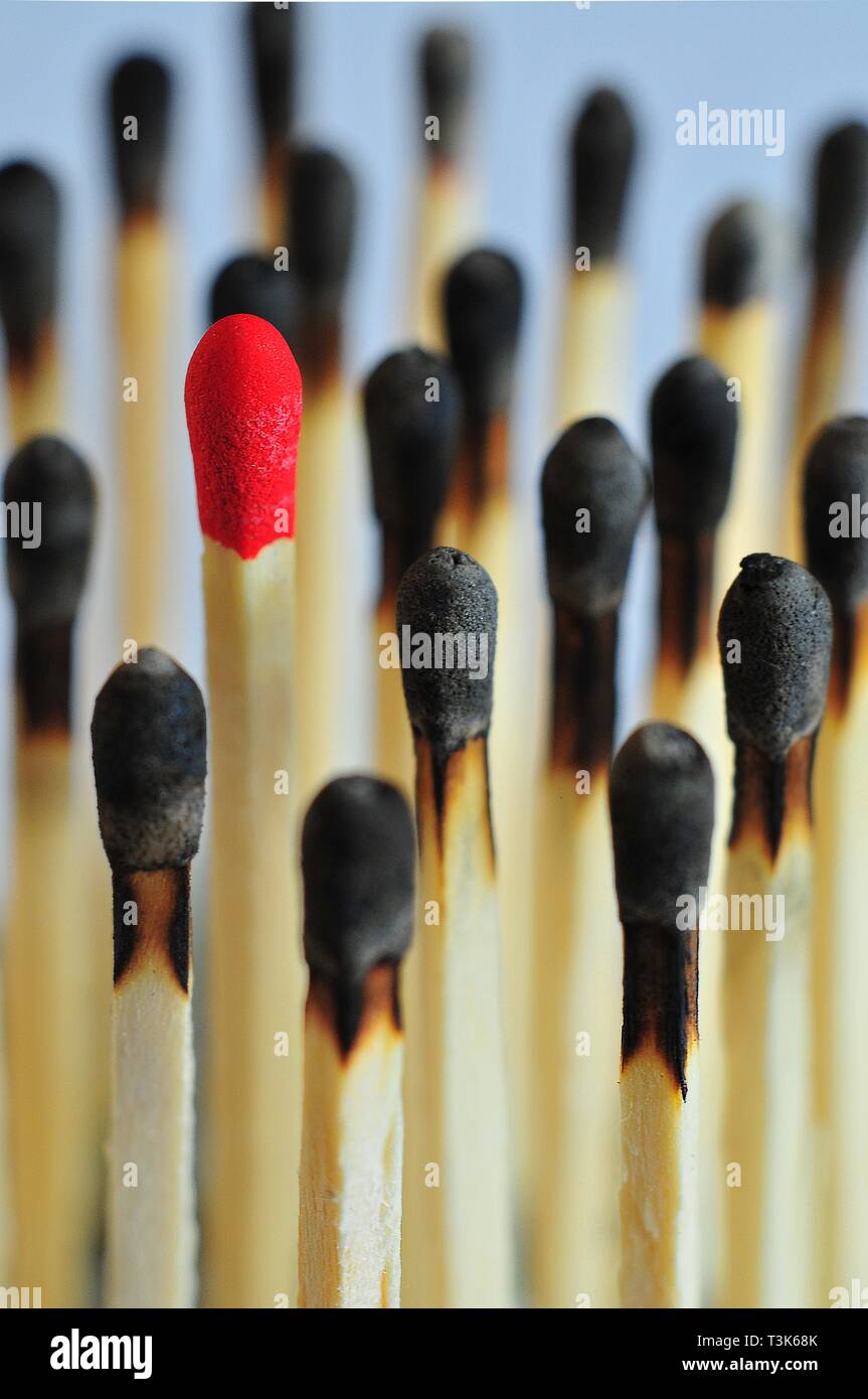 Unused match surrounded by burned matches Stock Photo