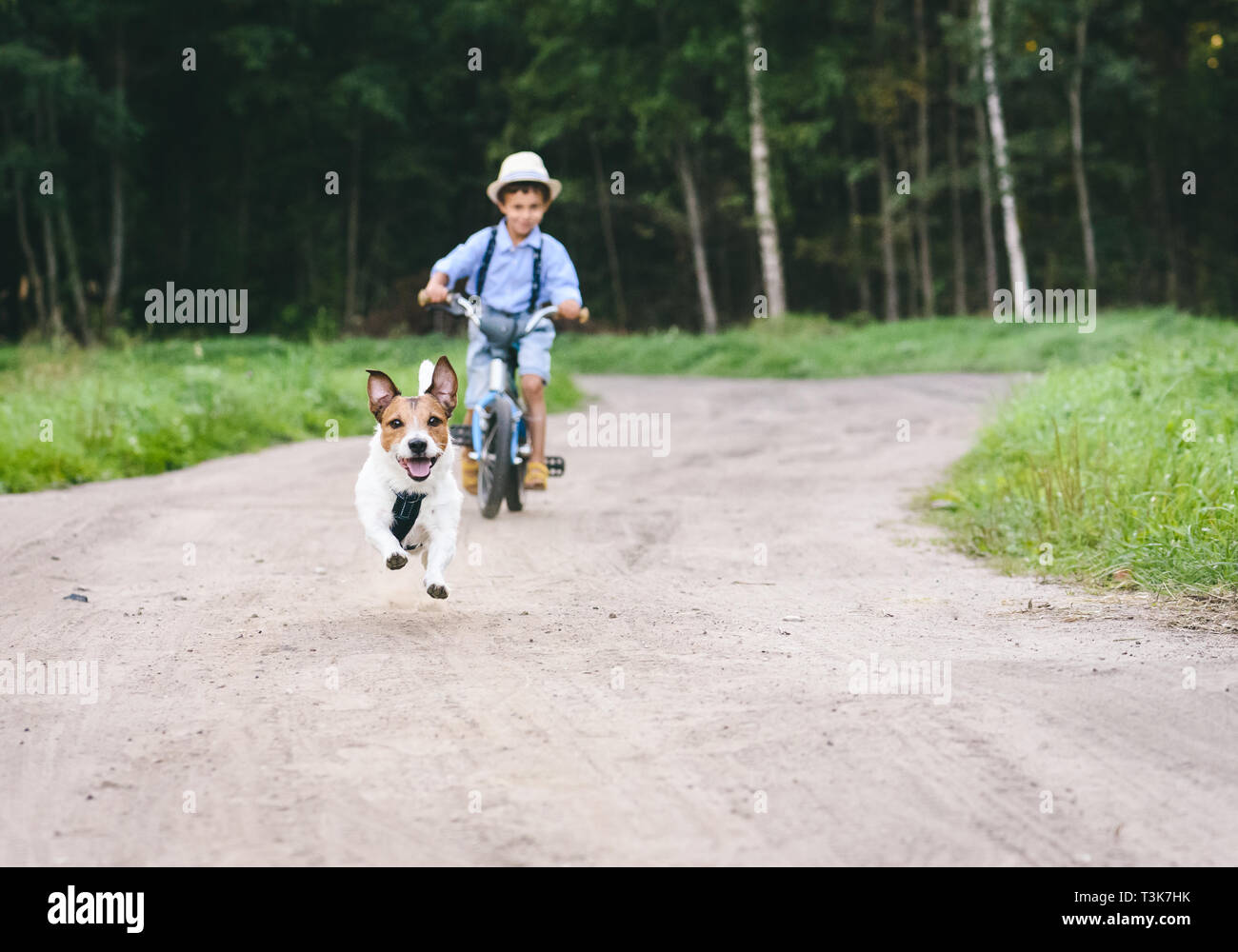 Kid boy on bicycle riding after dog running by country dirt road Stock Photo
