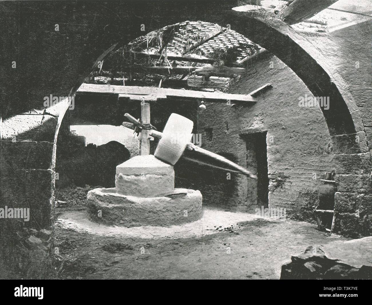 Egyptian corn hires stock photography and images Alamy