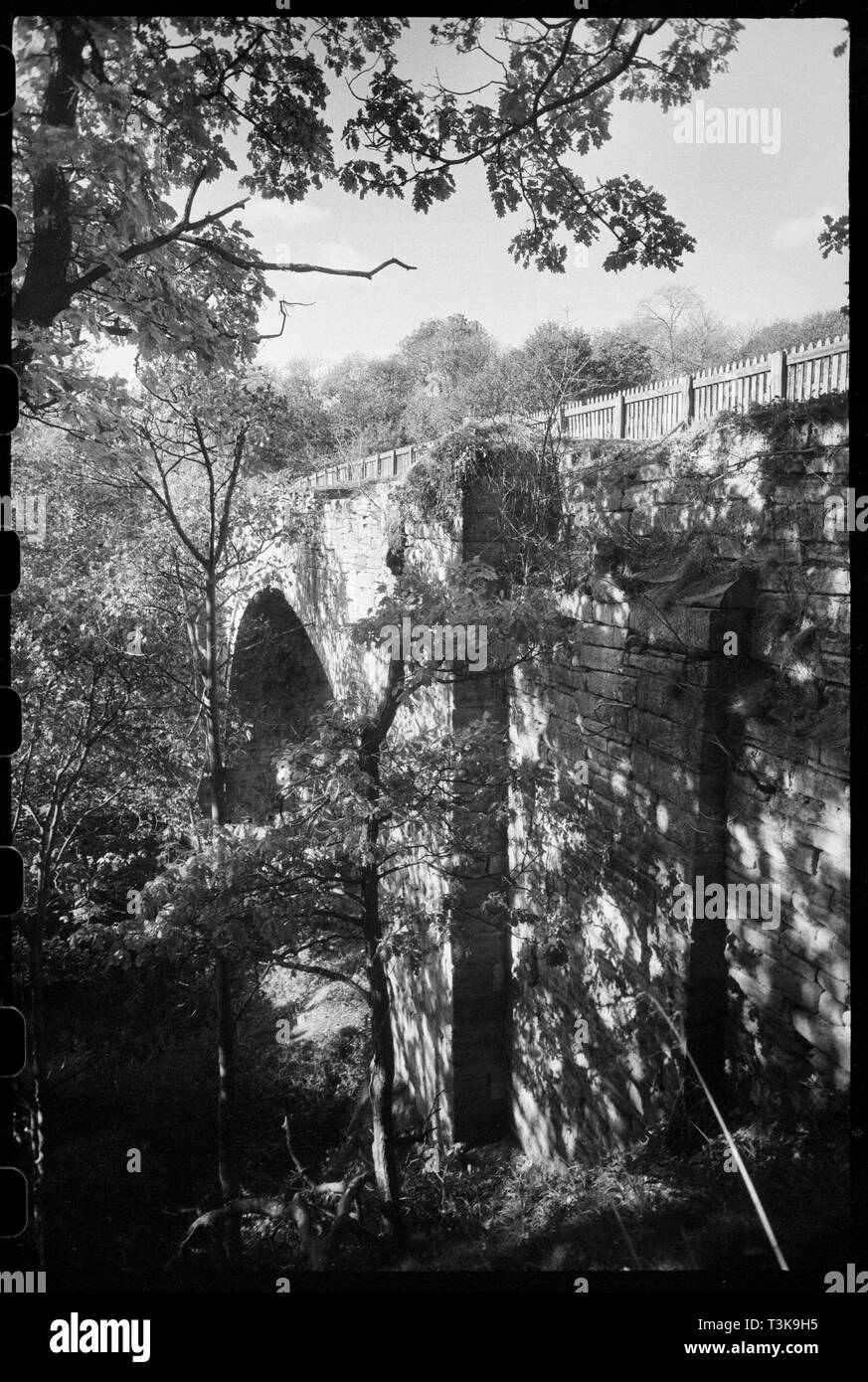 Causey Arch, Causey Road, Stanley, County Durham, c1955-c1980. Creator: Ursula Clark. Stock Photo