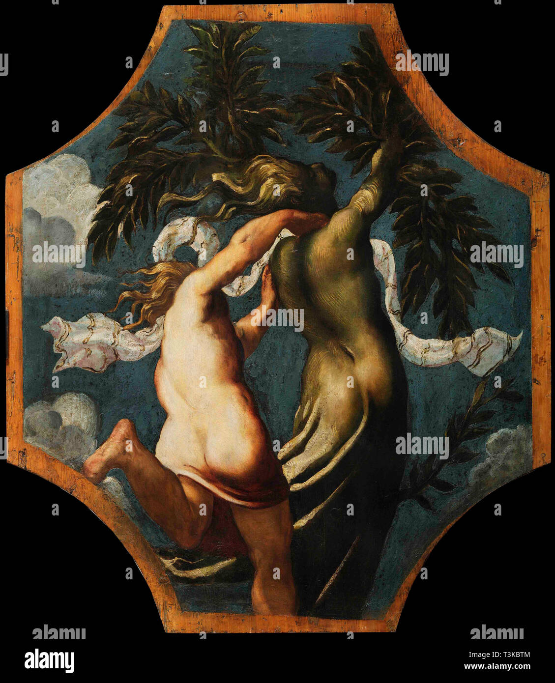 Apollo and Daphne, ca 1541. Creator: Tintoretto, Jacopo (1518-1594). Stock Photo
