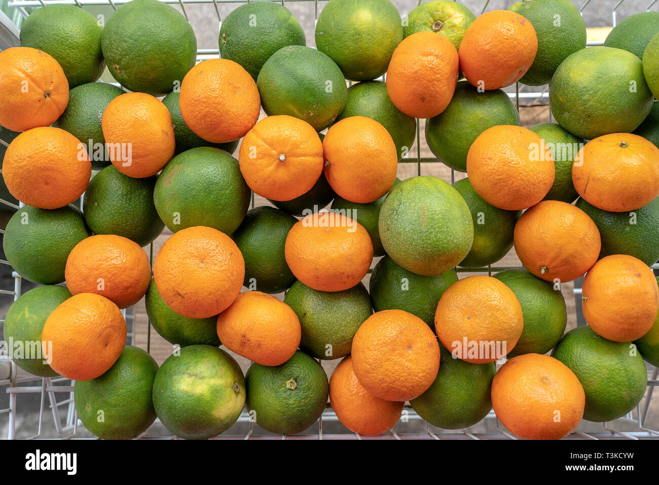 orange.u出品　鉄緑会 Yahoo!オークション - 鉄緑会 鶴田先生 大阪校 夏期 高2数学ⅢC演習 講