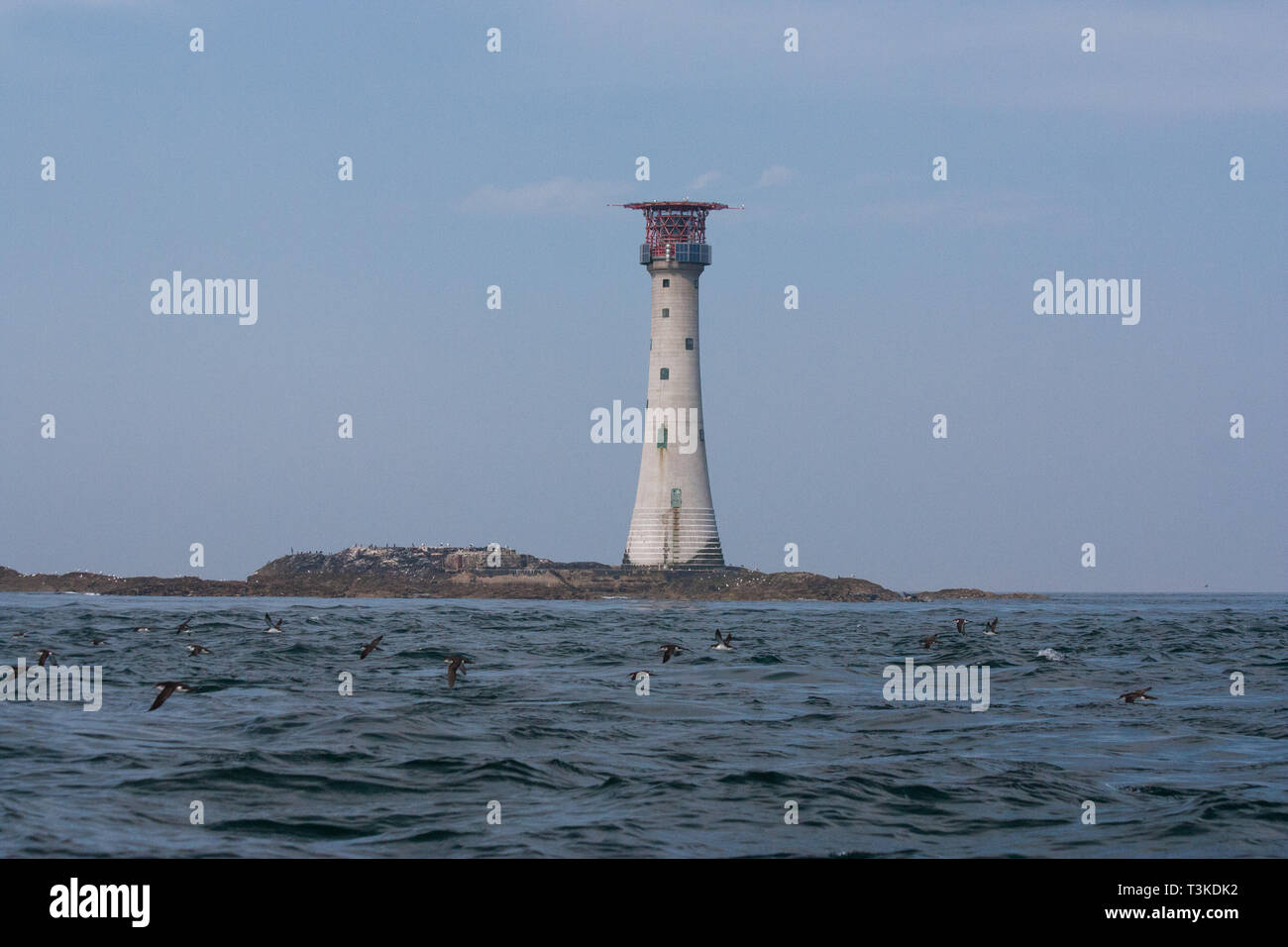 The historical landmark on the Pembrokeshire coastline - Smalls lighthouse Stock Photo