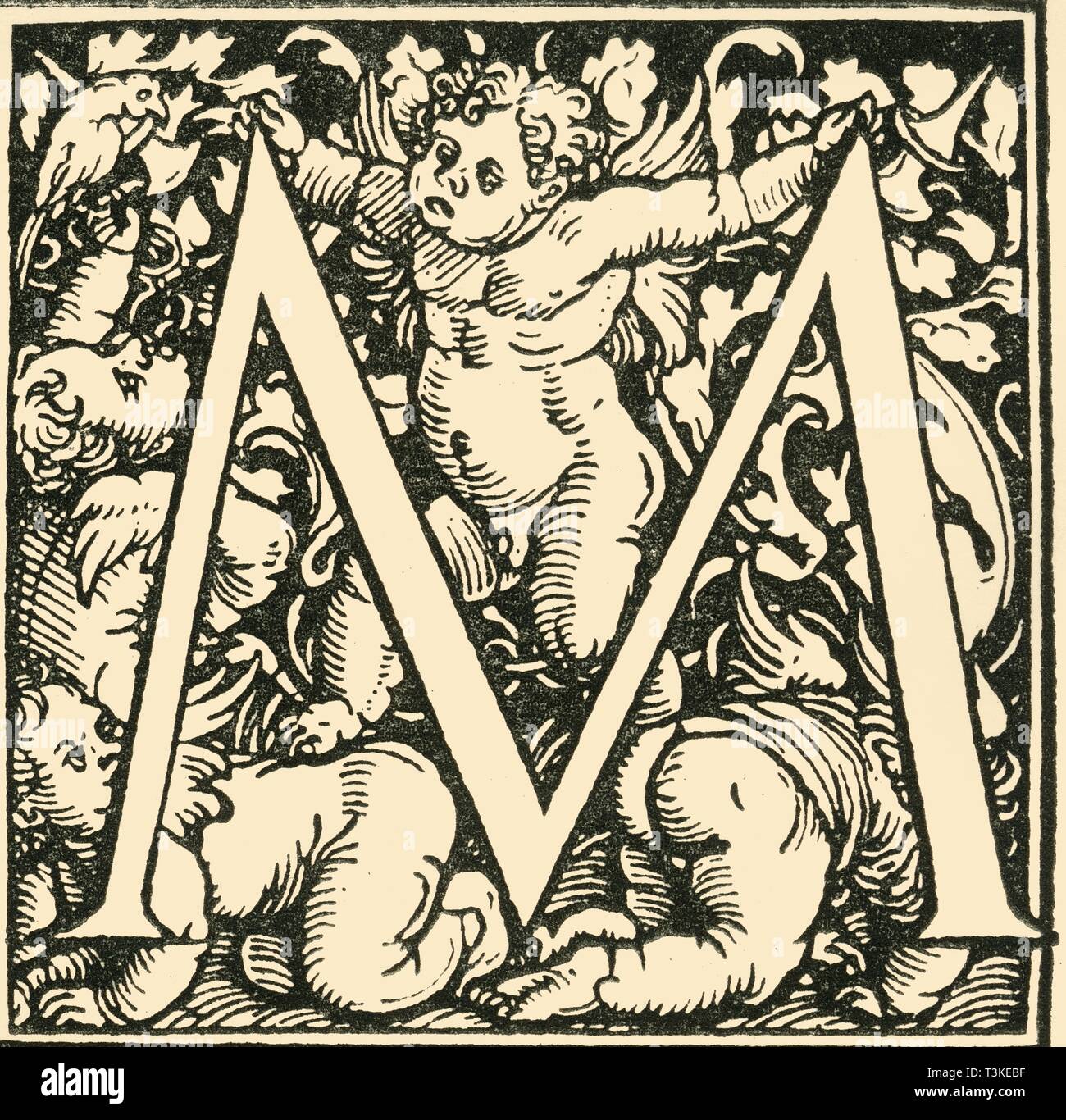 'M - An Alphabet by Hans Weiditz', c1520-1521, (1908). Creator: Hans Weiditz. Stock Photo