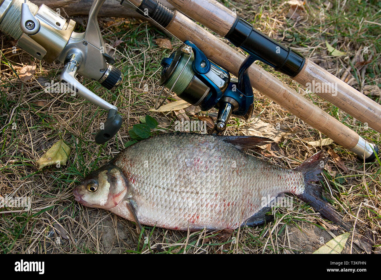 green fishing rod and reel