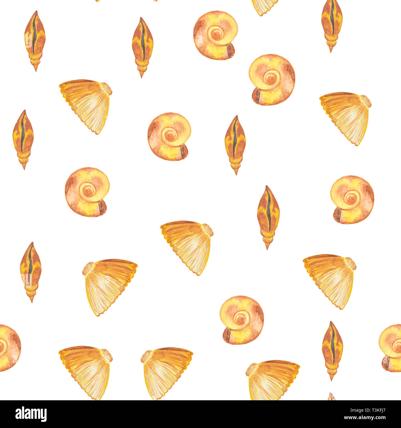Watercolor pattern of seashells on a white background. Sea life Stock ...