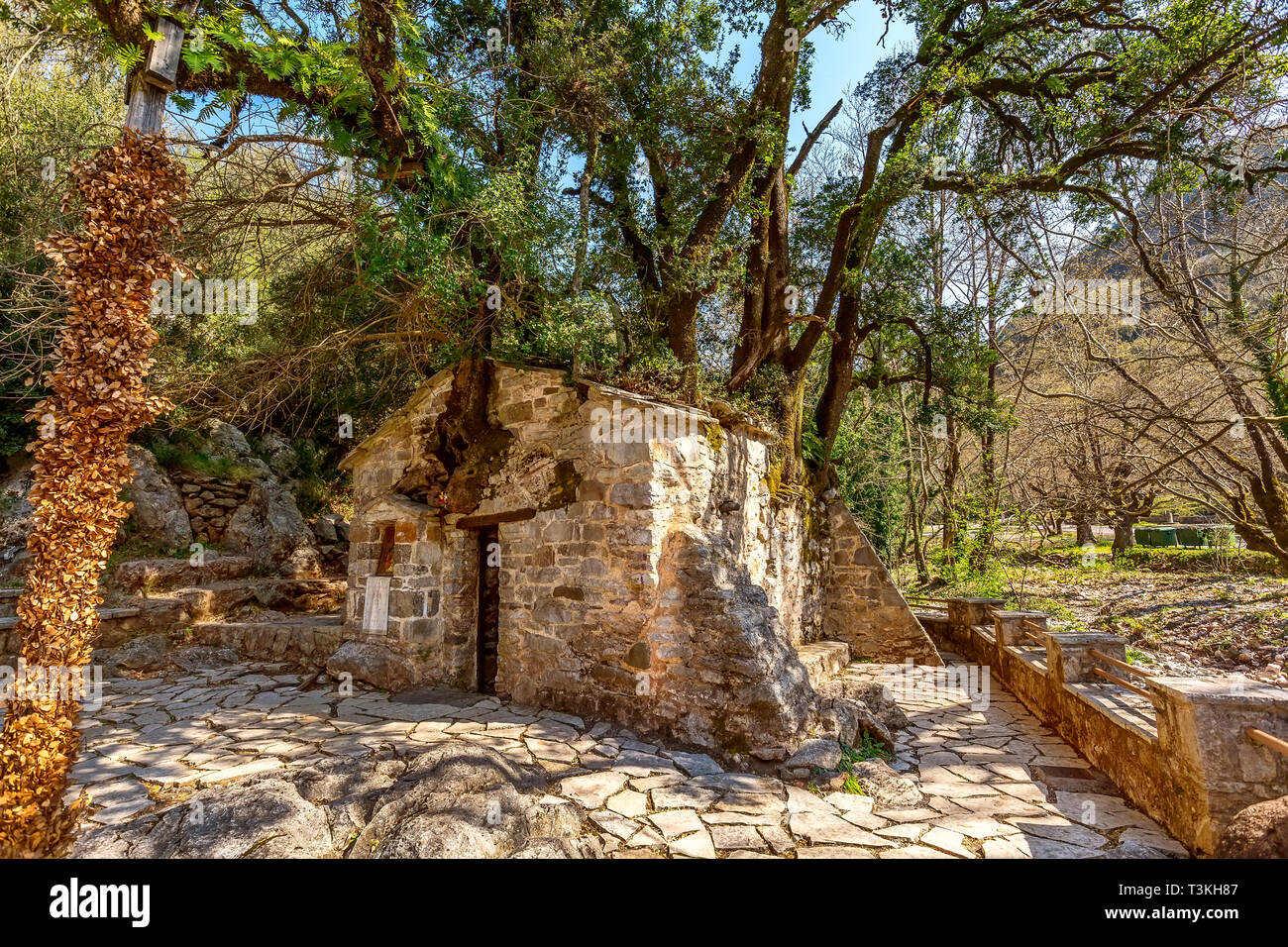 Agia Theodora miracle church in Peloponnese, Greece. Trees growing on