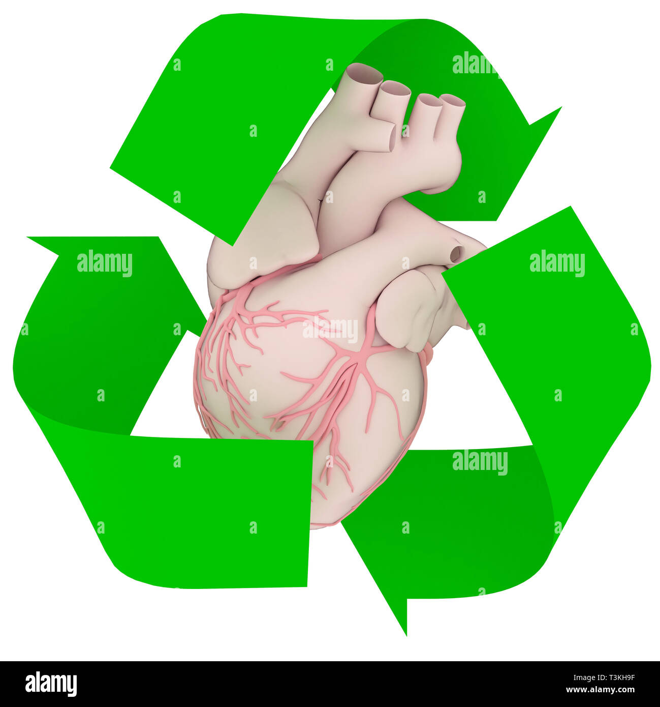 green recycle symbol with human heart inside, isolated 3d illustration ...