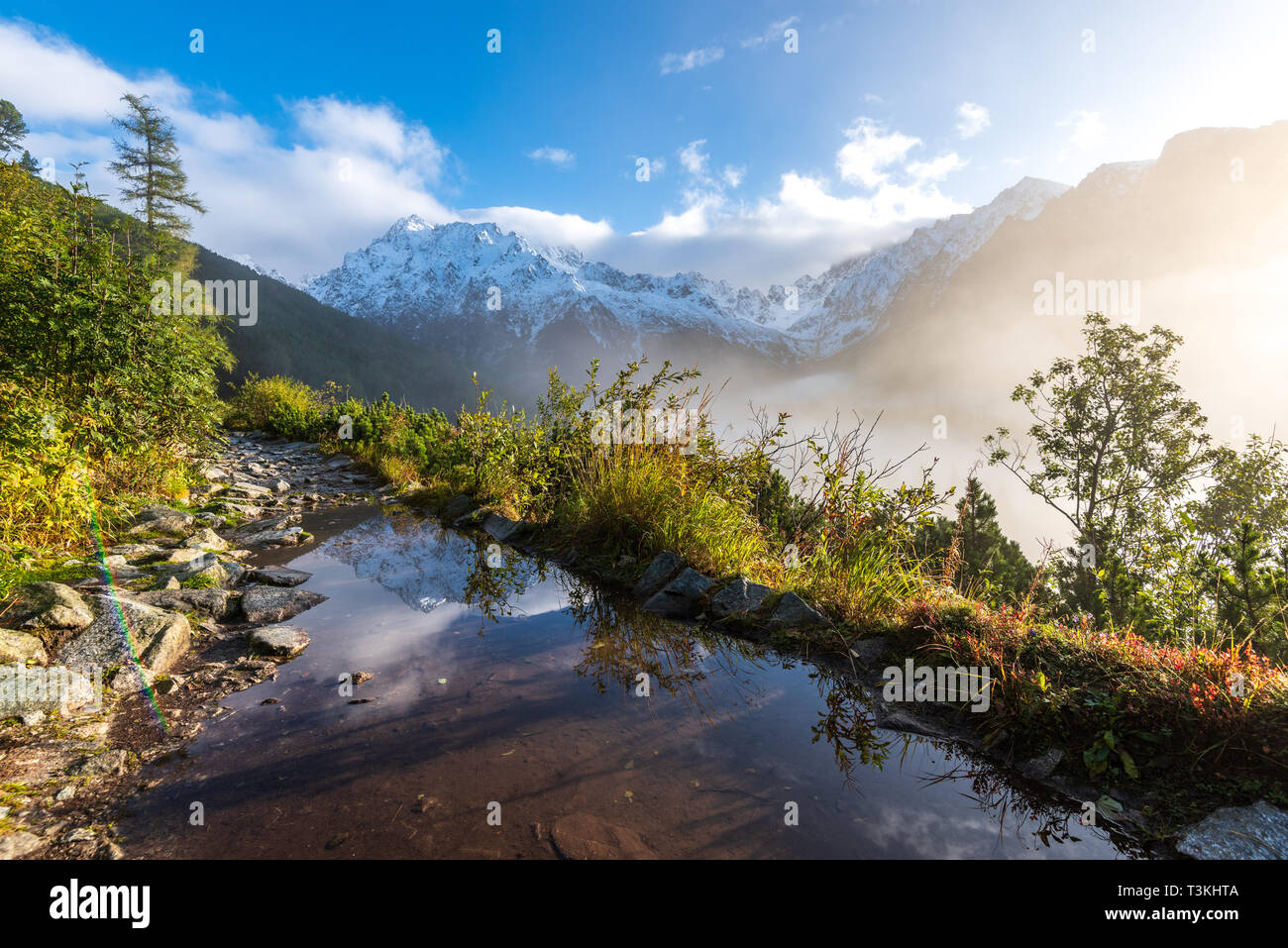 mist rising from valleys in forest in slovakia Tatra mountains. sunny ...