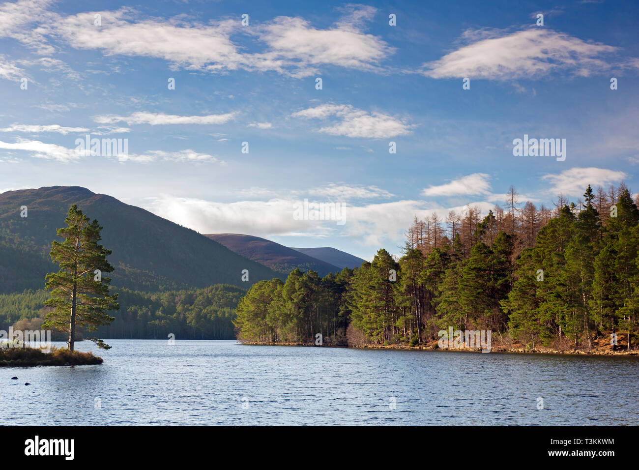 Loch an Eilein in the Rothiemurchus Forest, Cairngorms National Park near Aviemore, Badenoch and Strathspey, Scotland, UK Stock Photo