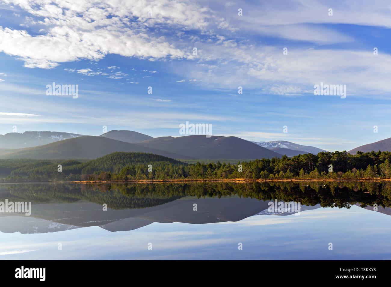 Loch Morlich and Cairngorm Mountains, Cairngorms National Park near Aviemore, Badenoch and Strathspey, Scotland, UK Stock Photo