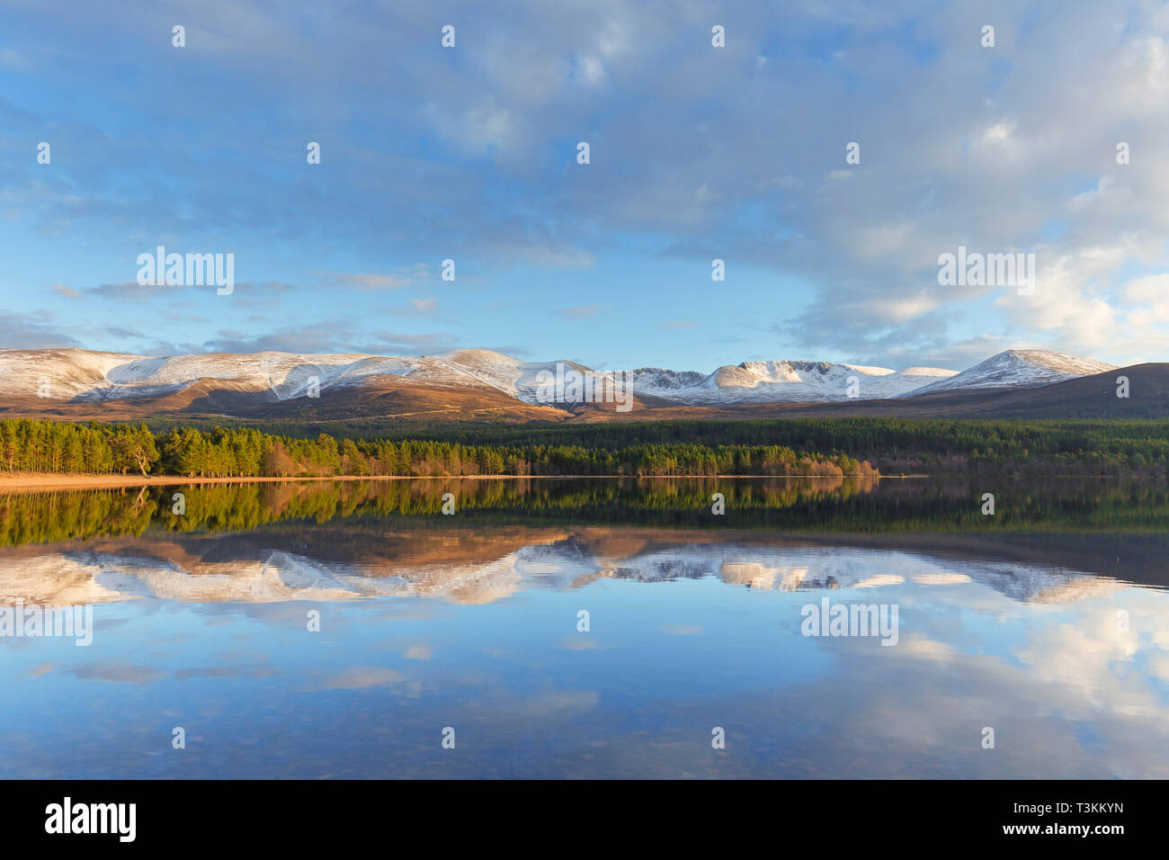 Loch Morlich and Cairngorm Mountains, Cairngorms National Park near Aviemore, Badenoch and Strathspey, Scotland, UK Stock Photo