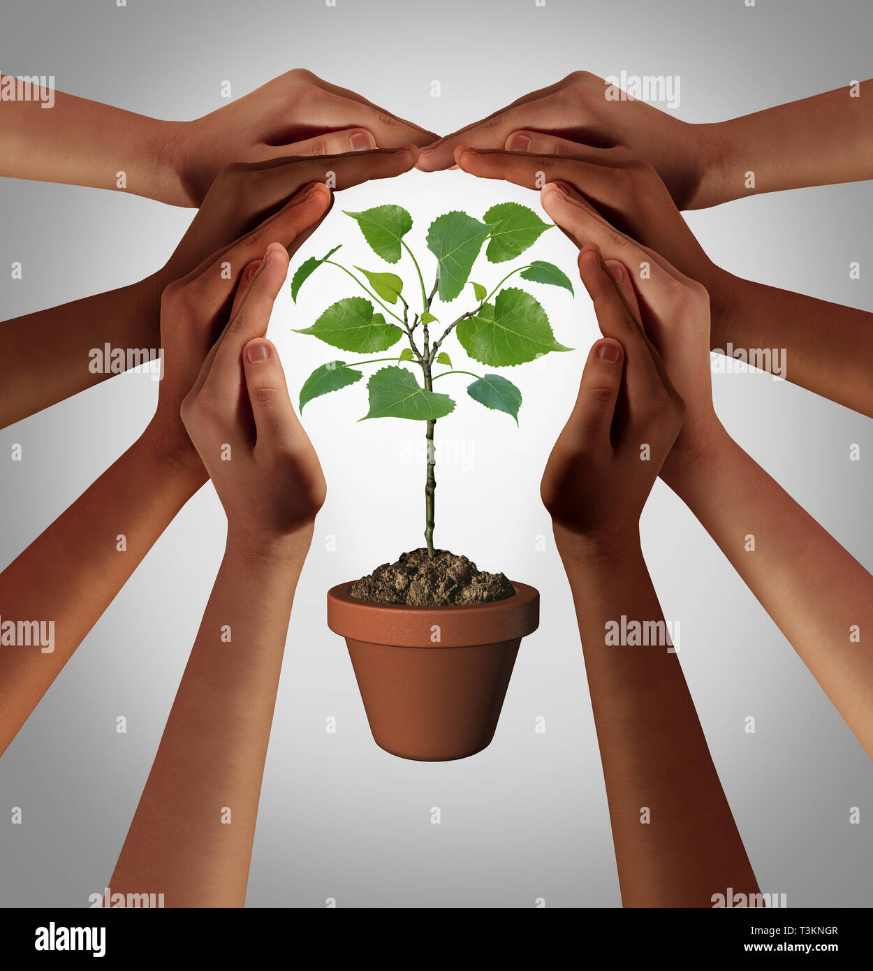 Diverse people caring together as a diverse group uniting and joining hands into the shape of an inspirational circle as a nurturing. Stock Photo
