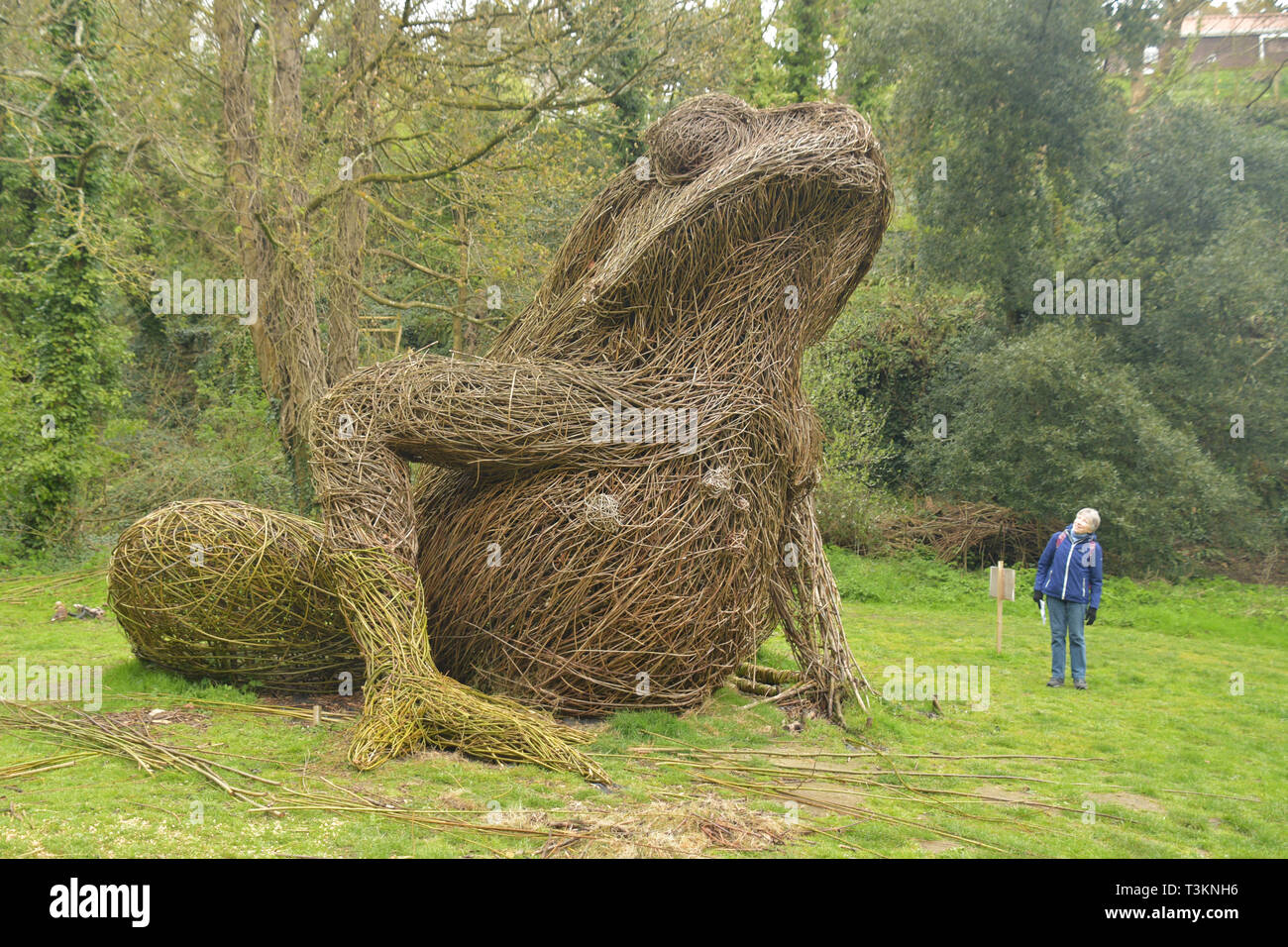 Willow sculpture hi-res stock 