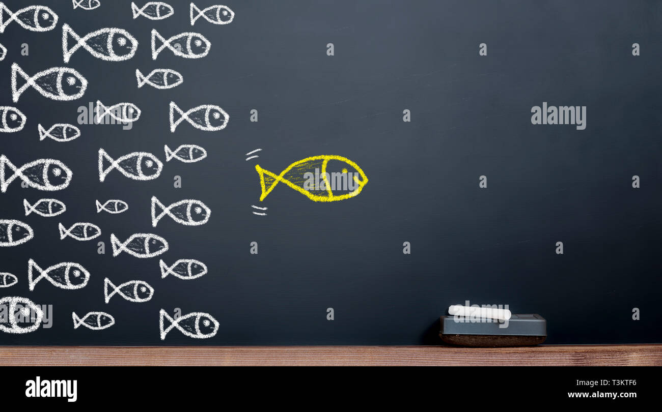 The concept of leadership. Big fish leads to a herd of fish Stock Photo