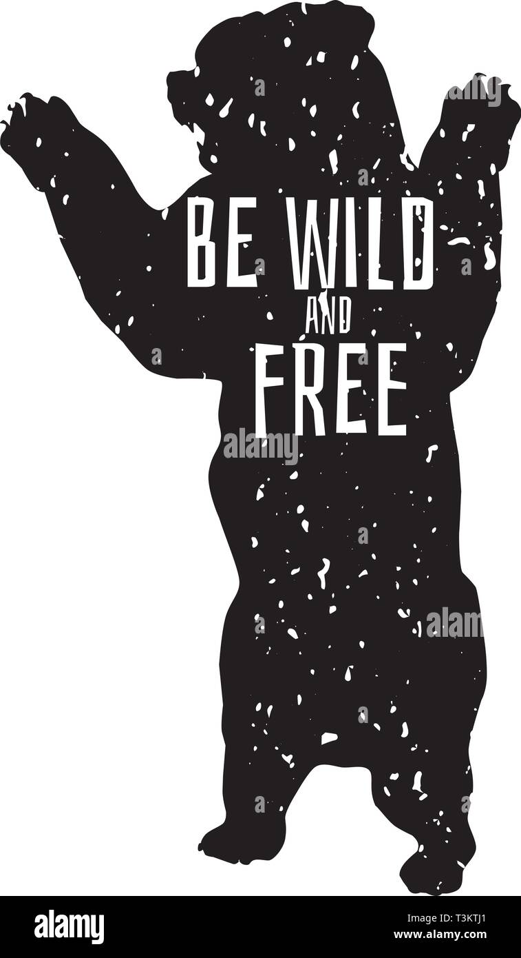 vector illustration of a grizzly bear standing Stock Vector Image & Art ...