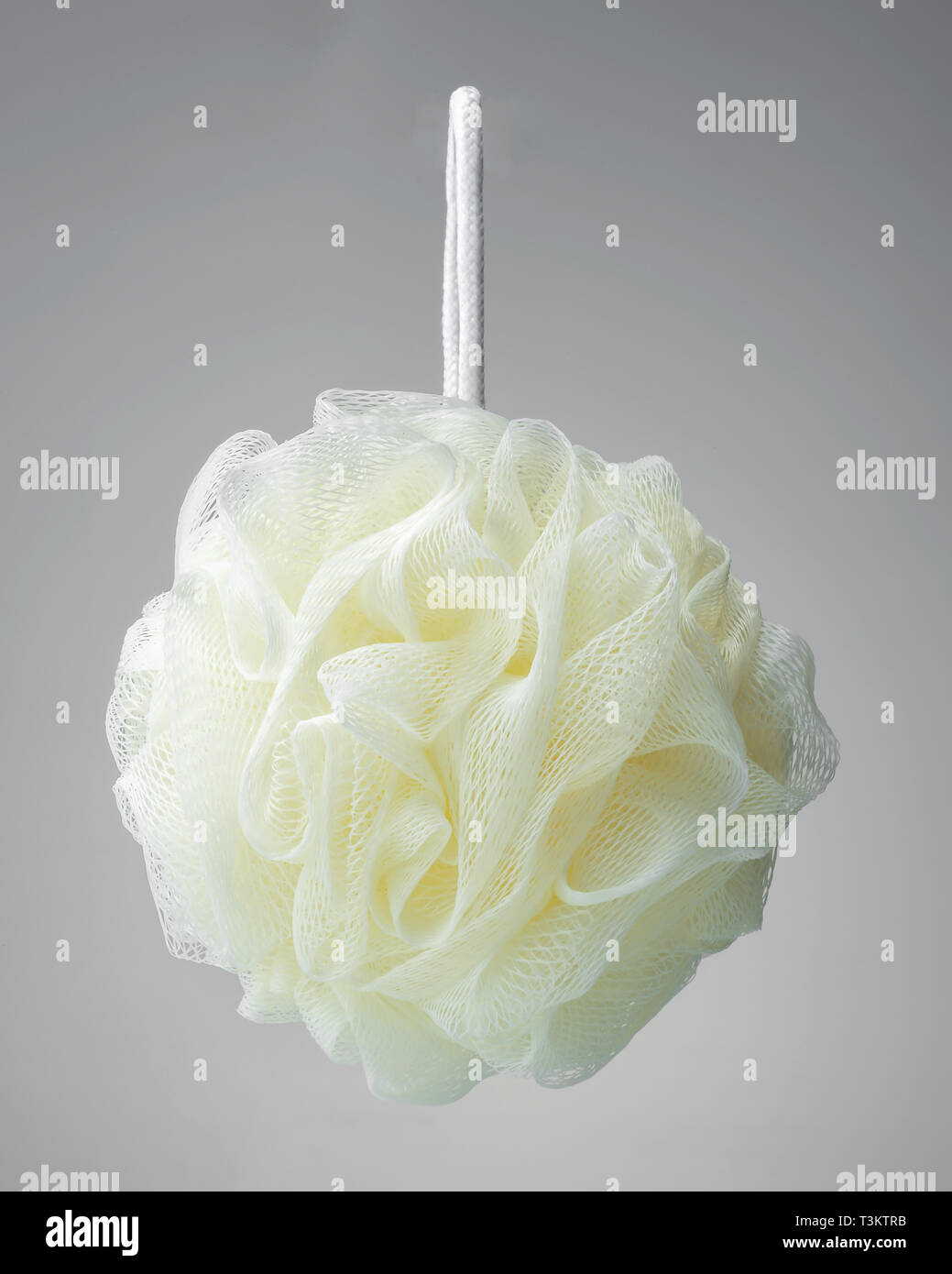 Sponge ball hires stock photography and images Alamy