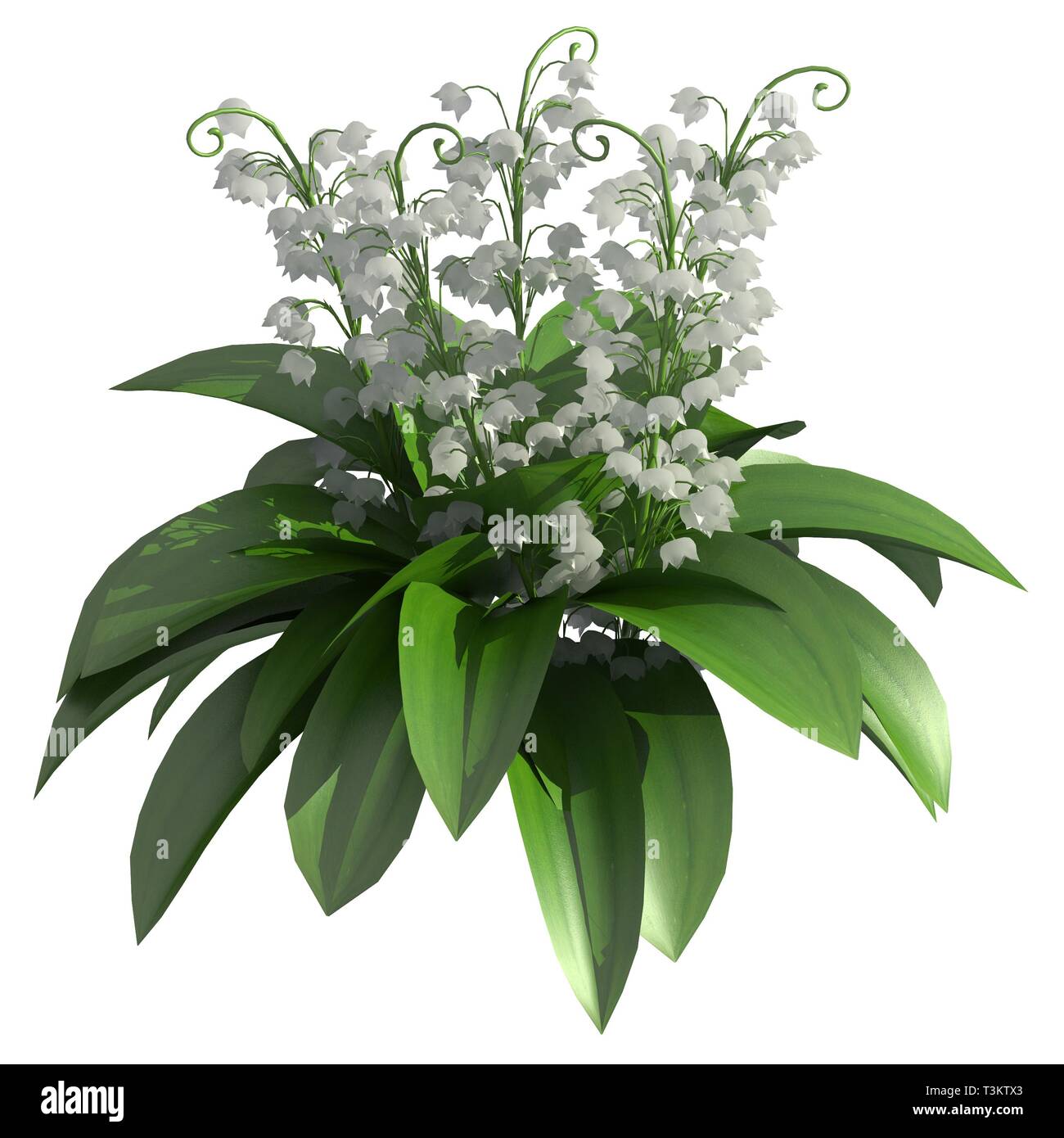 Flowers 3d illustration isolated on the white background Stock Photo ...