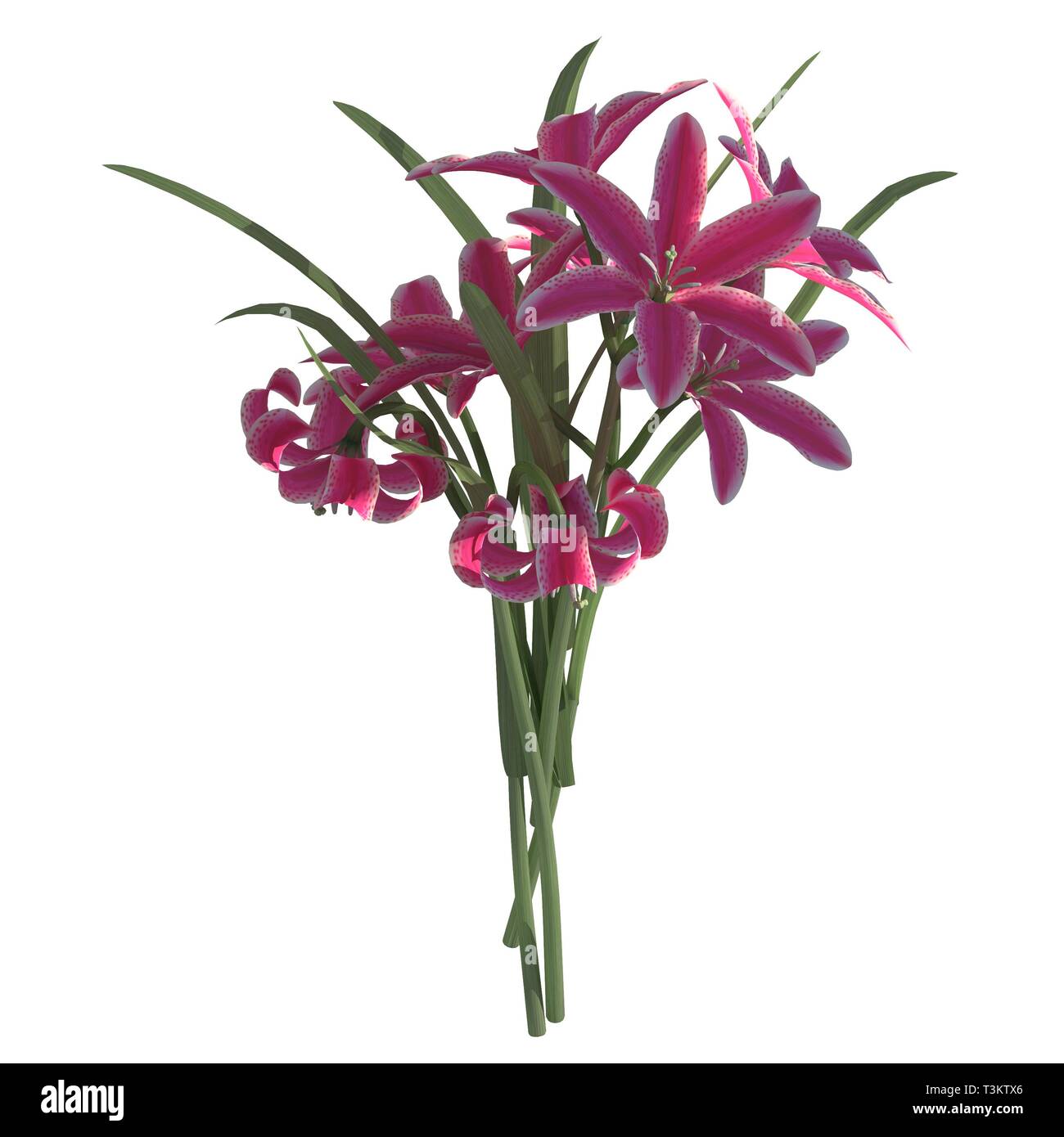 Flowers 3d illustration isolated on the white background Stock Photo ...
