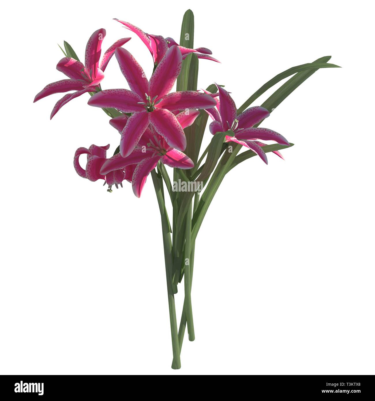 Flowers 3d illustration isolated on the white background Stock Photo ...