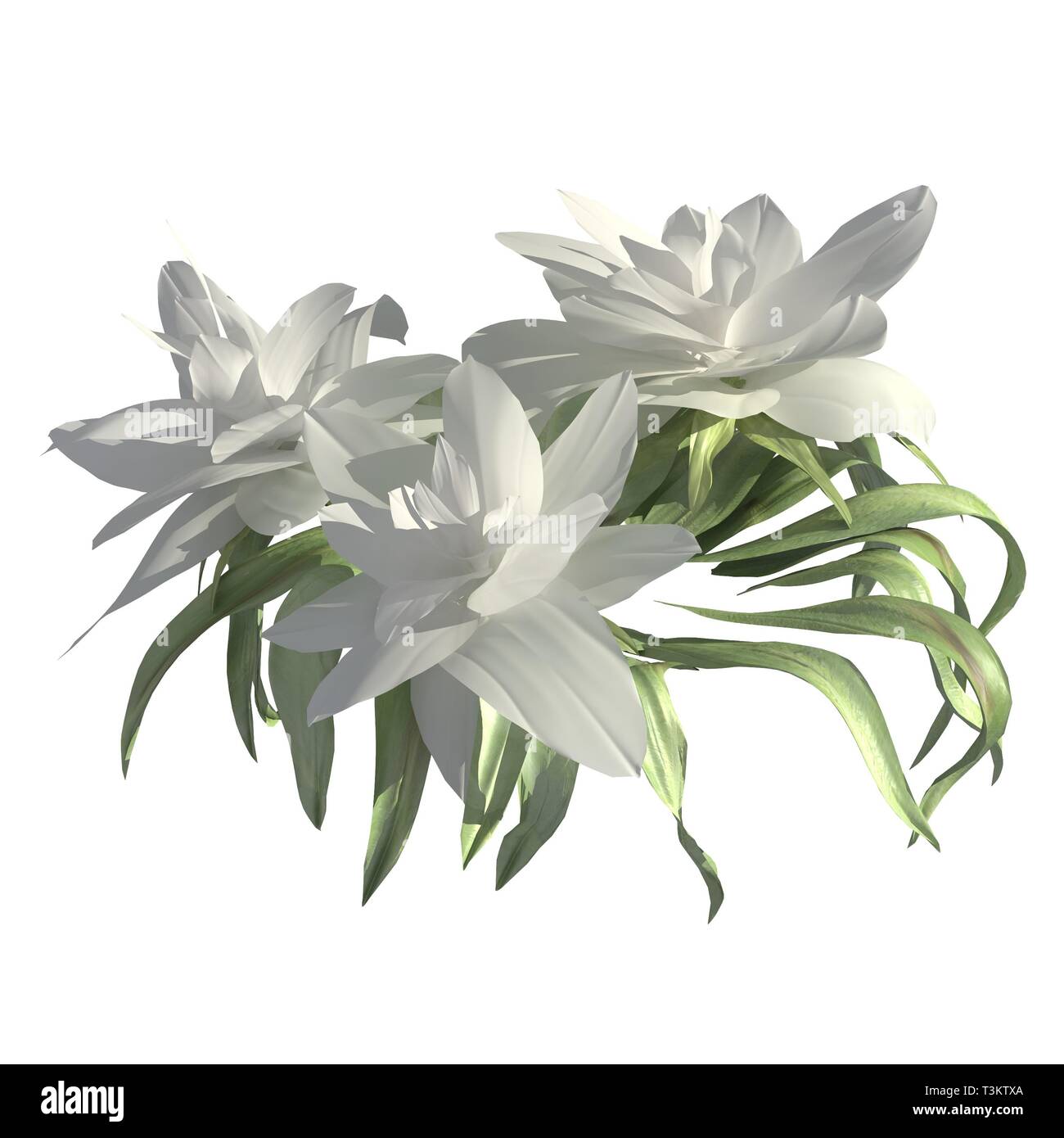 Flowers 3d illustration isolated on the white background Stock Photo ...