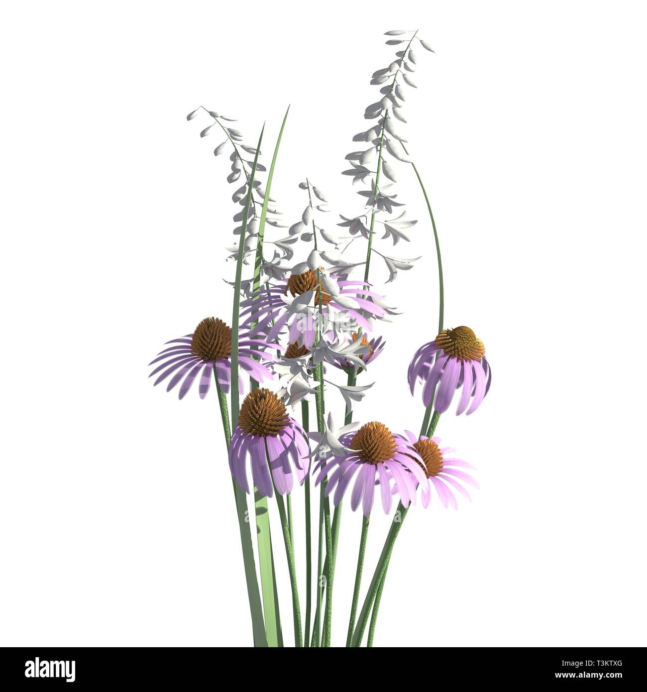 Flowers 3d illustration isolated on the white background Stock Photo ...