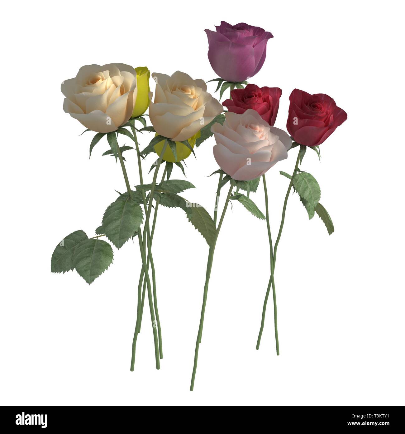 Flowers 3d illustration isolated on the white background Stock Photo ...