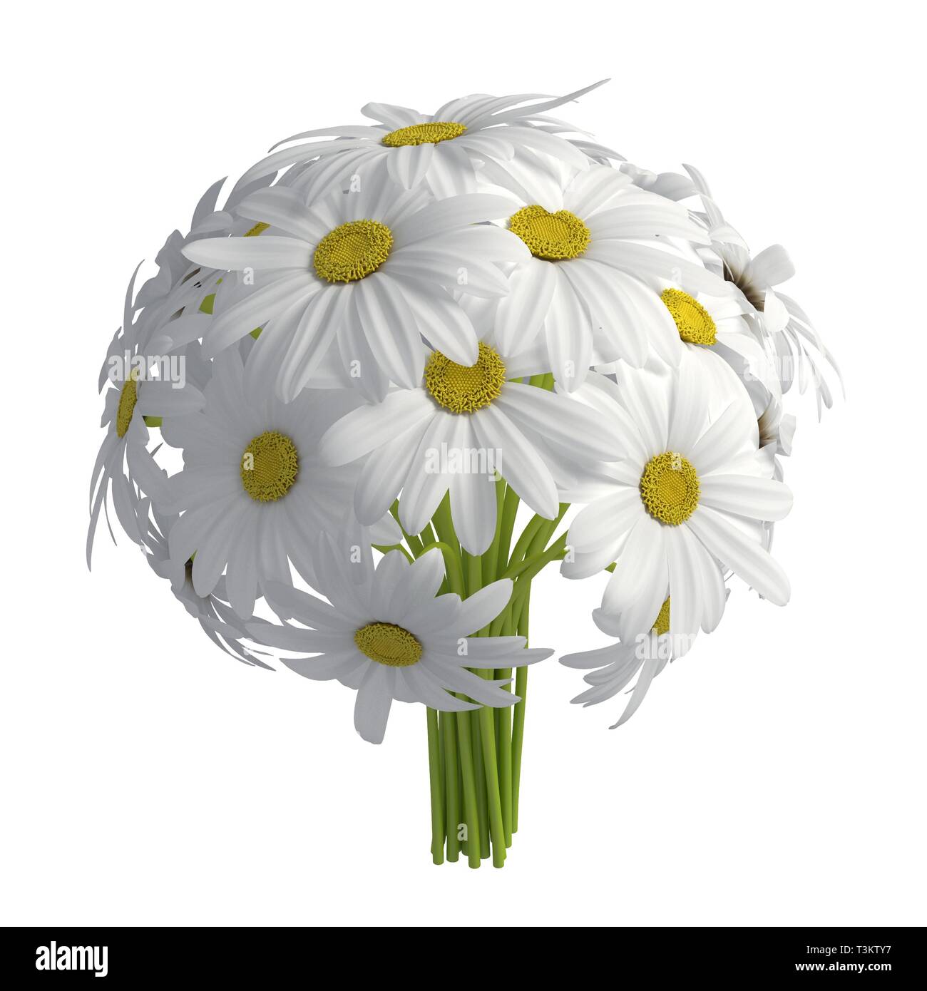 Flowers 3d illustration isolated on the white background Stock Photo ...