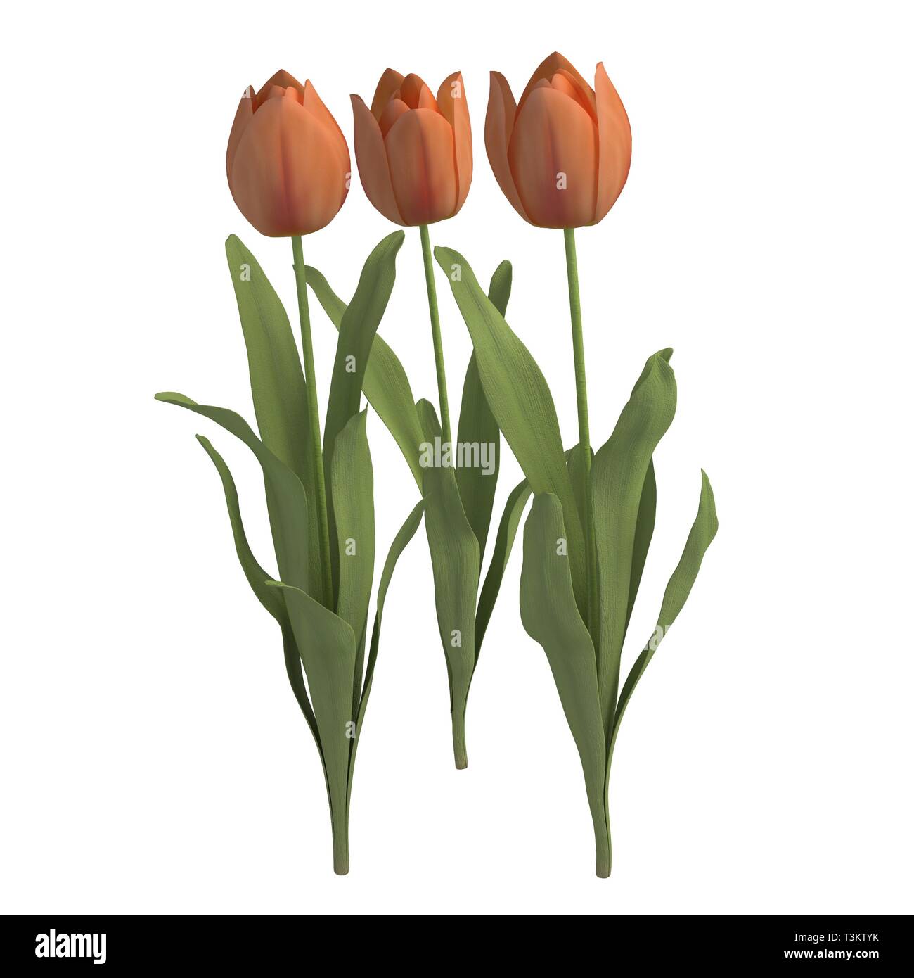 Flowers 3d illustration isolated on the white background Stock Photo ...
