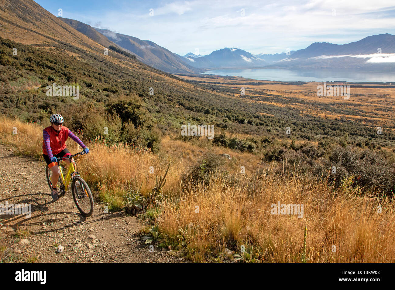 Cyclists on the Alps 2 Ocean trail at Lake Ohau Stock Photo