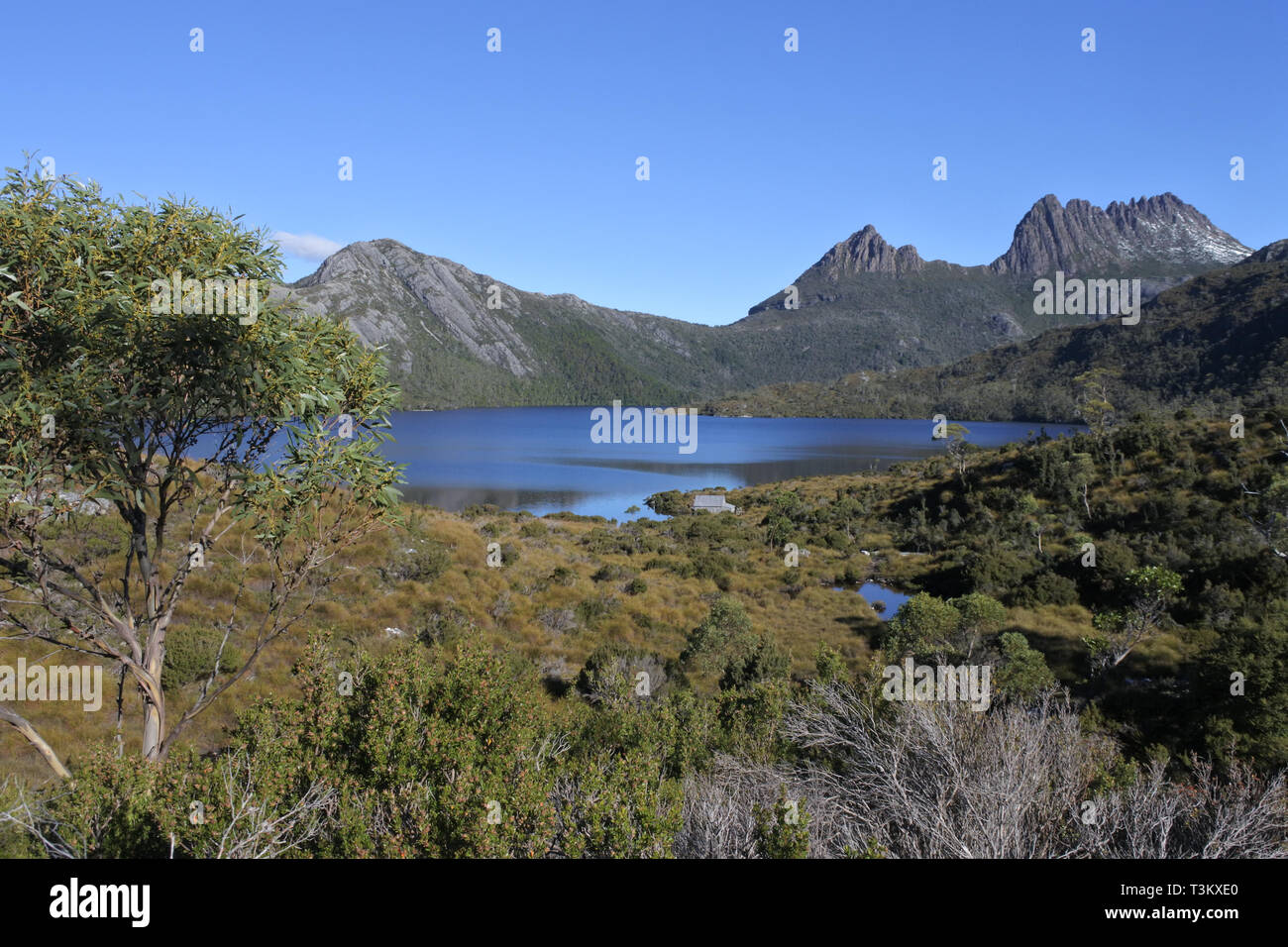Landscape view of Cradle Mountain-Lake St Clair National Park ...