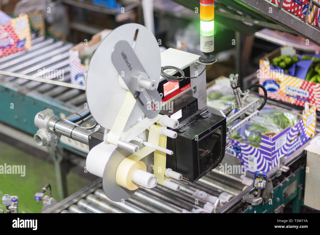 Tenerife, Spain - January 3, 2019: Automated labeling machine during operation in food packaging industry in Tenerife, Canary islands, Spain. Stock Photo