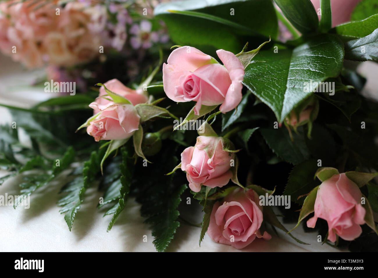 A Beautiful Bouquet of Pink Roses Stock Photo - Alamy