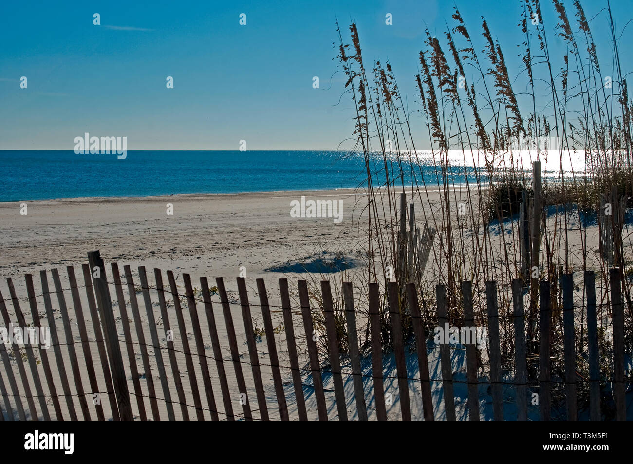 Slatted wood fencing and sea oats (Uniola paniculata) hold sand in place, trying to prevent beach erosion in Orange Beach, Alabama, Nov. 12, 2009. Stock Photo