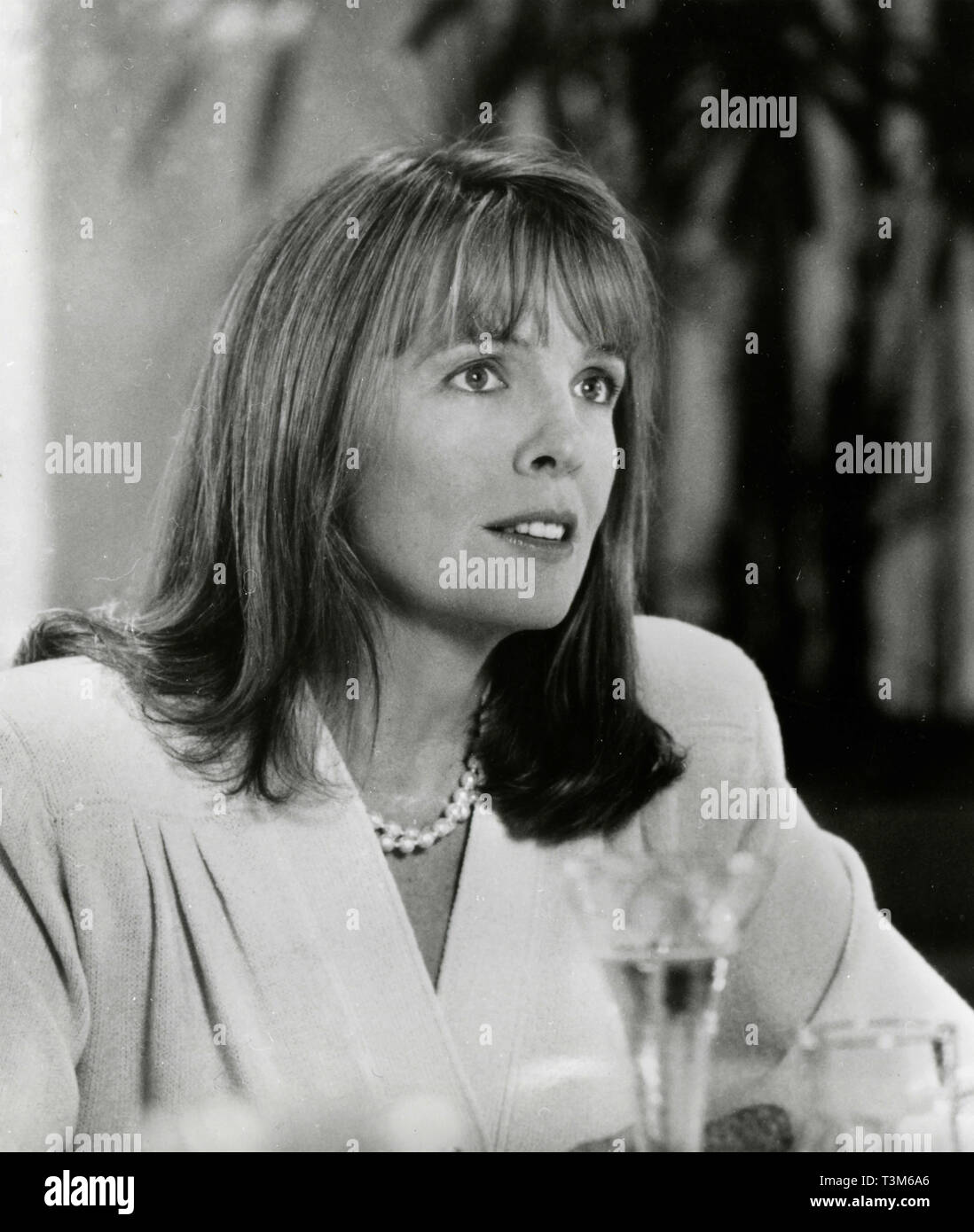 Diane Keaton in the movie Father of the Bride, 1991 Stock Photo