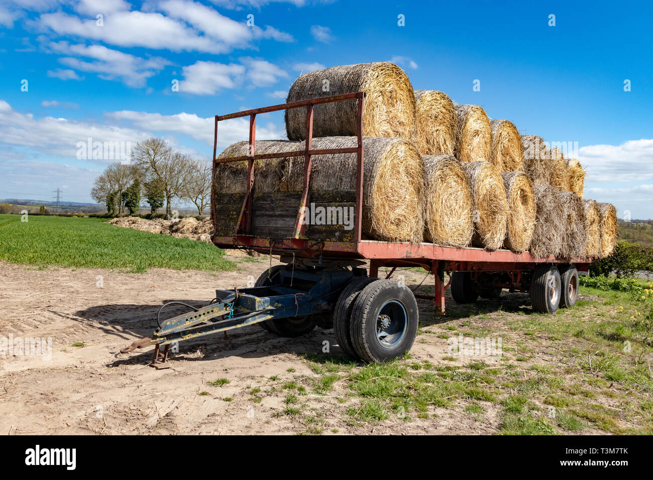 Straw Rolls Hay Bales Loaded On A Trailer Ready For Winter Feed