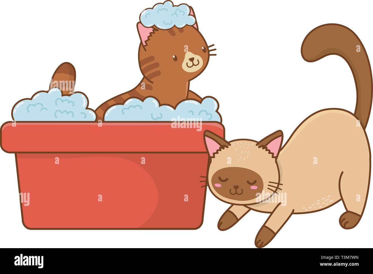 cute funny pets cats taking a shower cartoon vector illustration