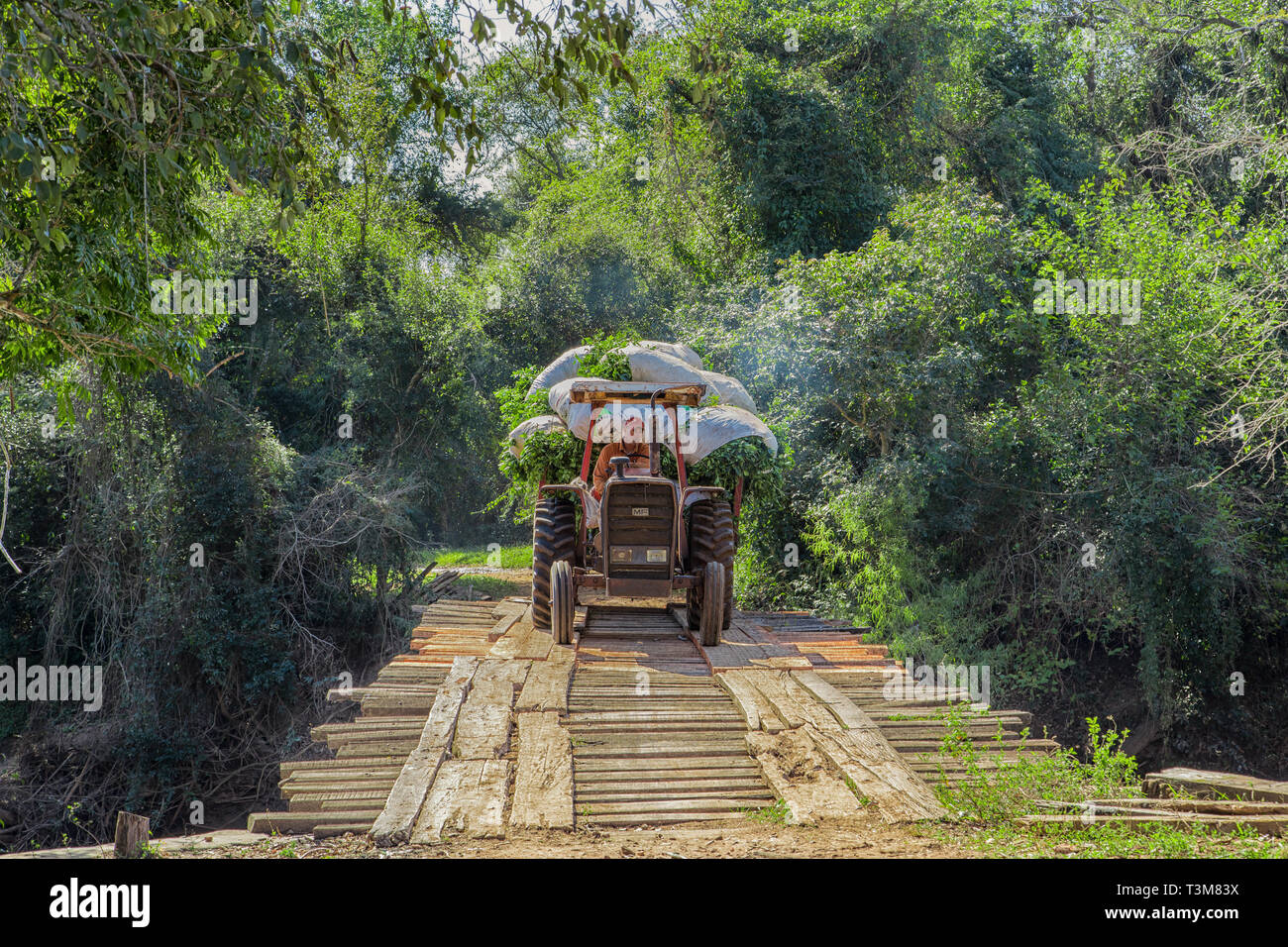 Colonia Independencia, Paraguay - June 20, 2018: Farmer with tractor in Paraguay drives over a winding wooden bridge. Stock Photo