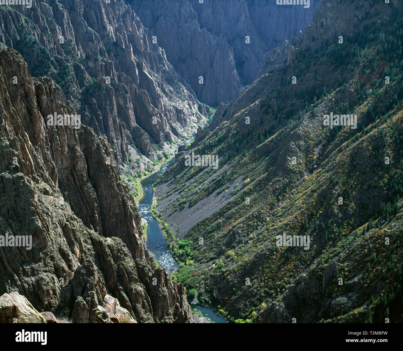 USA, Colorado, Black Canyon of the Gunnison National Park, Gunnison River flows at base of steep walls formed from gneiss and schist, from Pulpit Rock Stock Photo