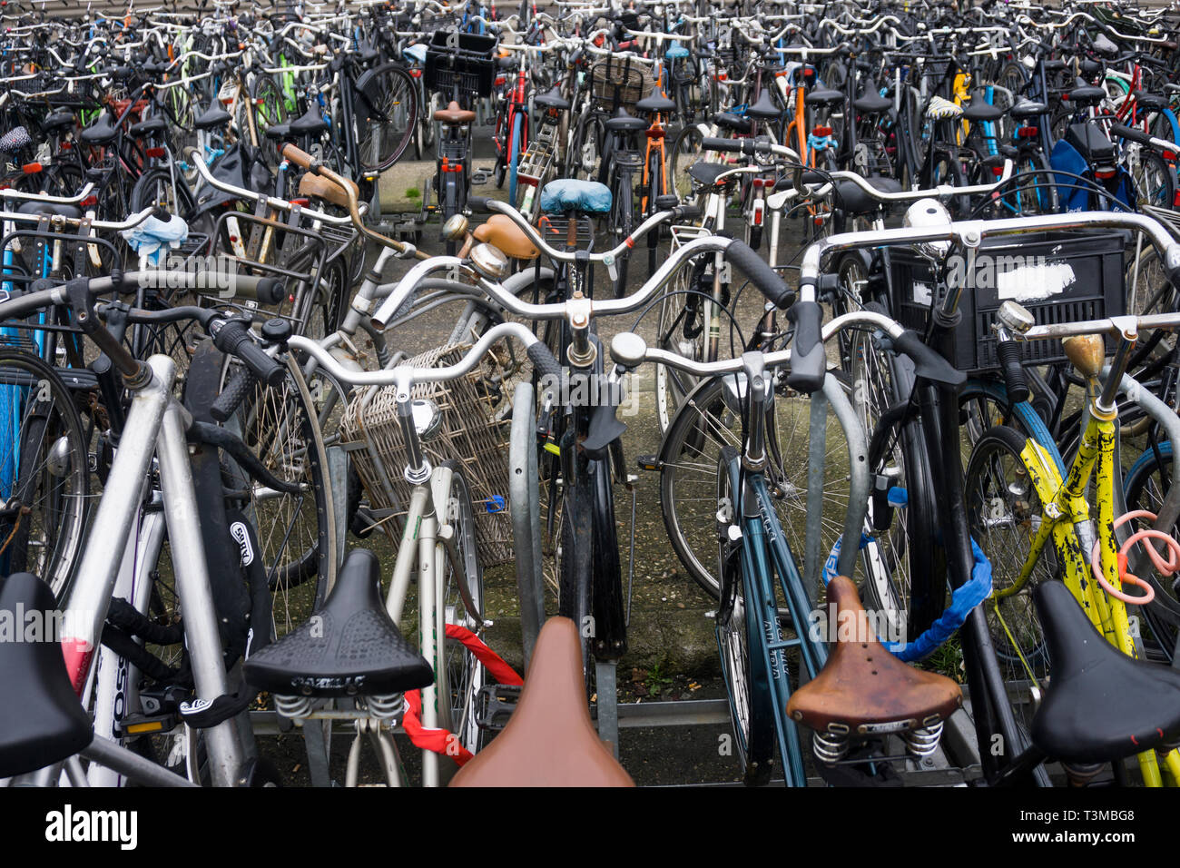 Hundreds of bikes outside Central Station in Amsterdam Stock Photo Alamy