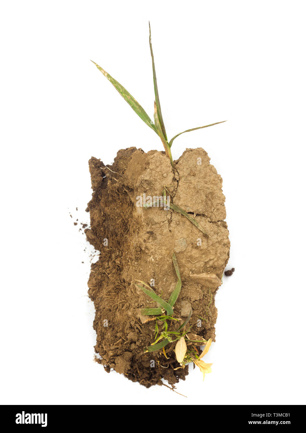 Dirt piece Clearance