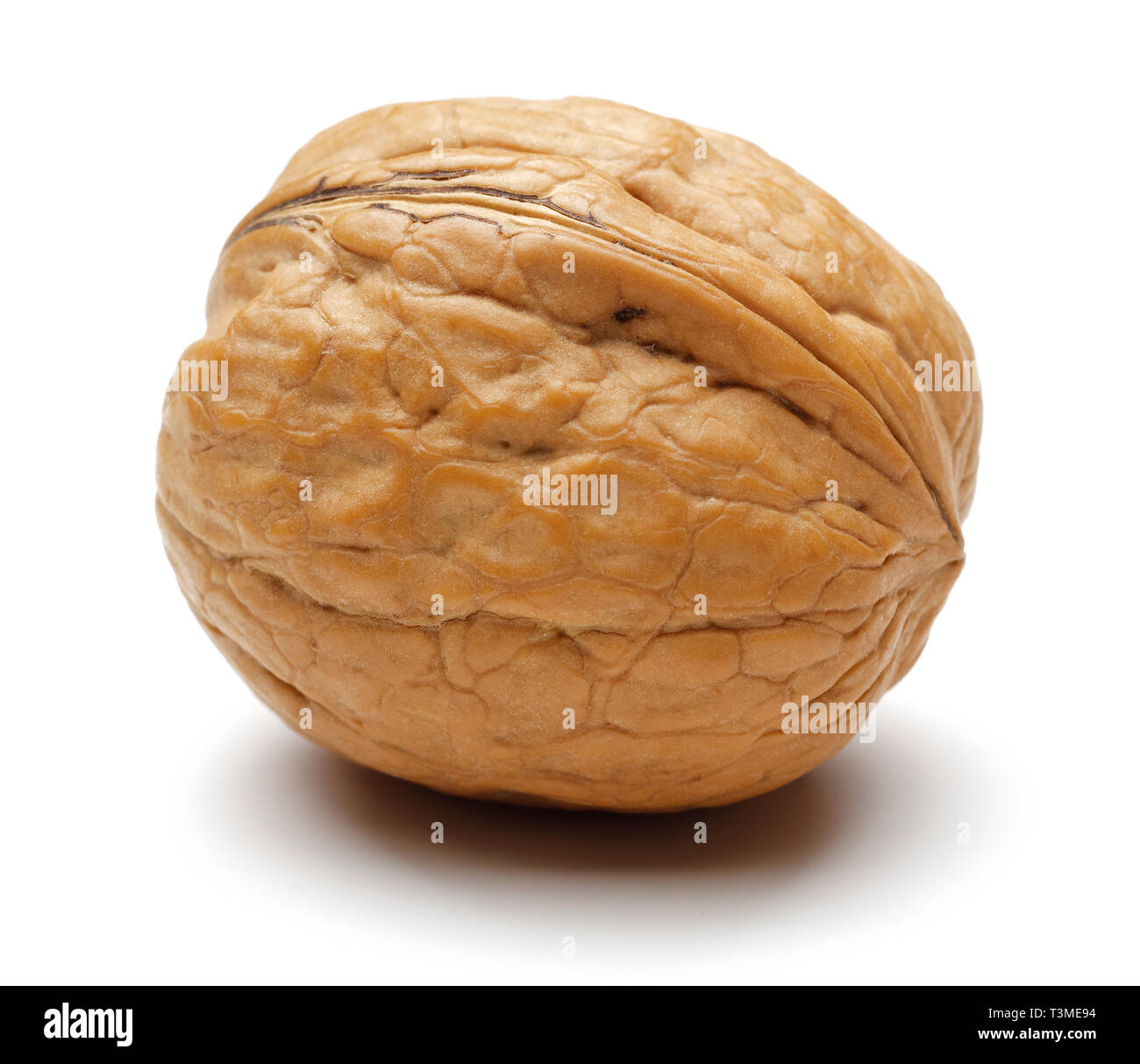 Single whole walnut isolated on white background Stock Photo