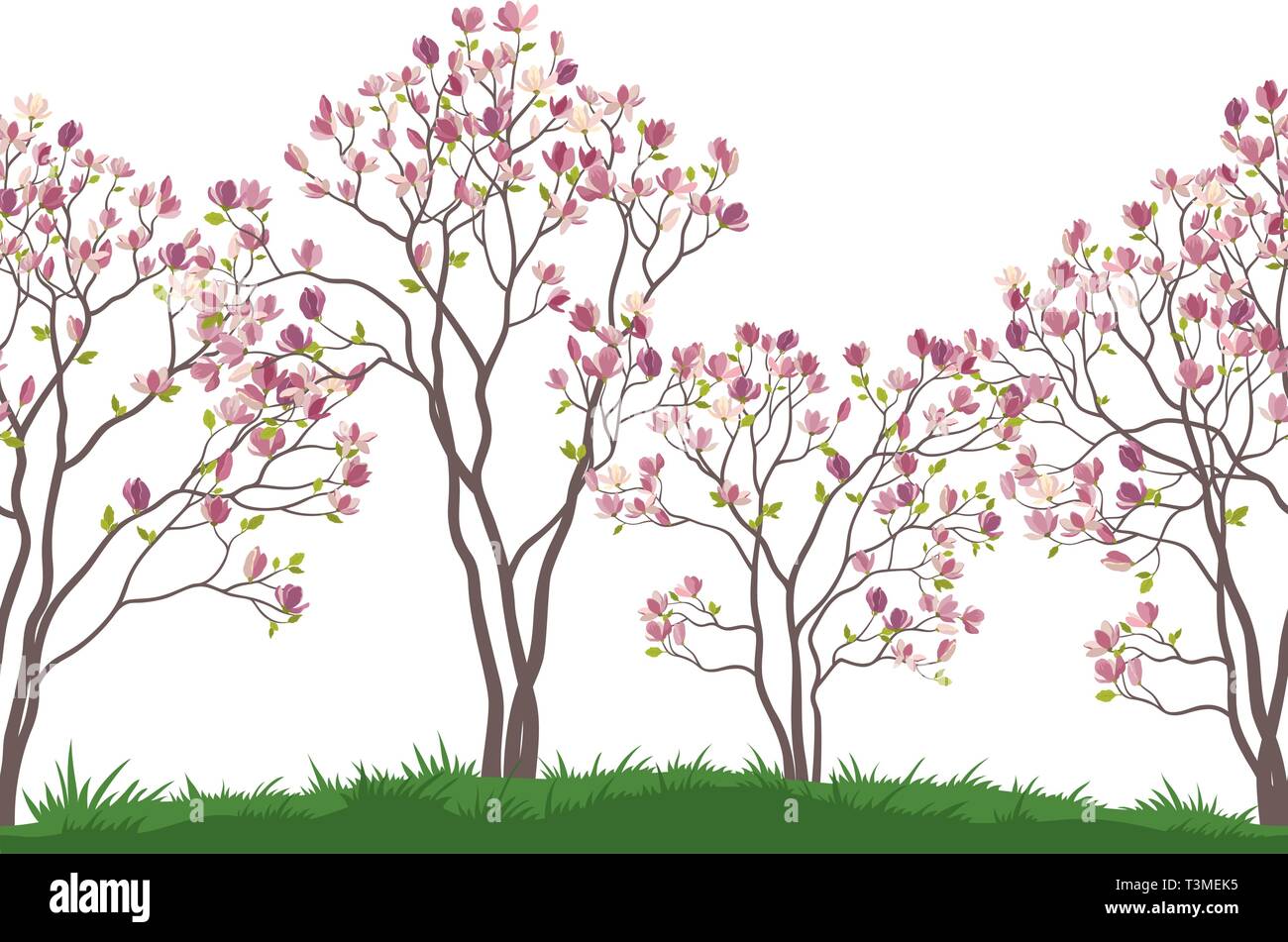 Horizontal Seamless Landscape, Spring Magnolia Trees with Pink Flowers and Green Leaves on Green Grass. Vector Stock Vector