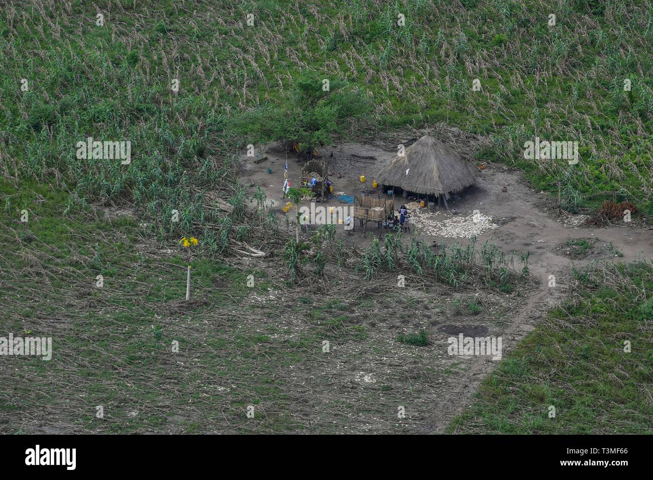 A traditional thatched hut among ruined farmland in the aftermath of the massive Cyclone Idai April 8, 2019 near Bebedo, Mozambique. The World Food Programme, with help from the U.S. Air Force is transporting emergency relief supplies to assist the devastated region. Stock Photo