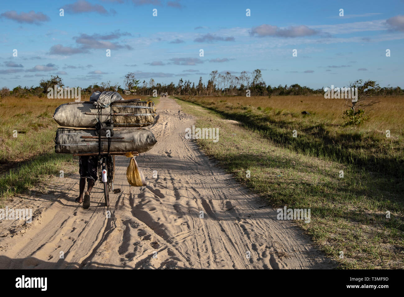 A man pushes his bike loaded with charcoal for cooking through the sand in the aftermath of the massive Cyclone Idai April 6, 2019 in Nhagau, Mozambique. The World Food Programme, with help from the U.S. Air Force is transporting emergency relief supplies to assist the devastated region. Stock Photo