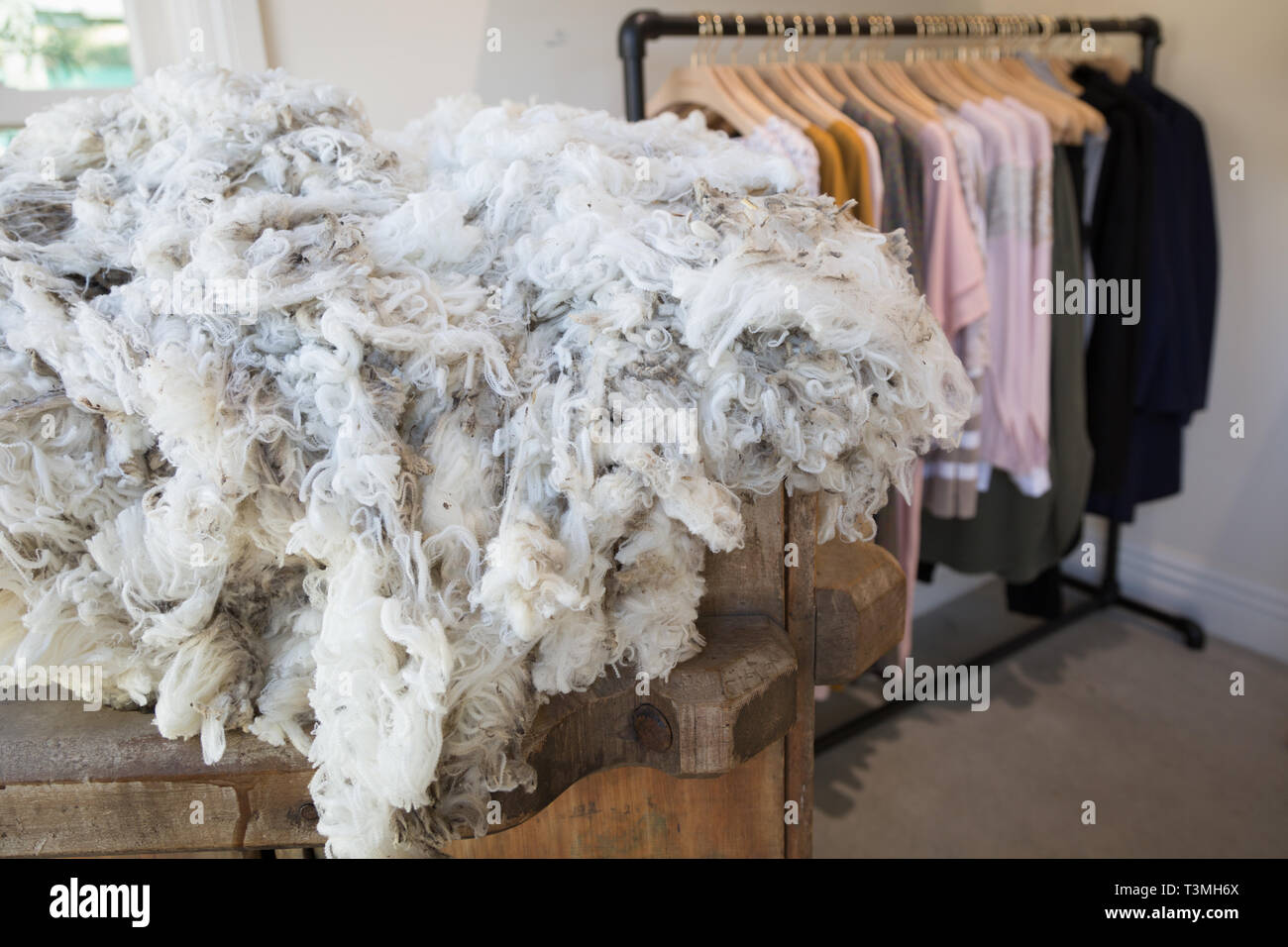 Sheeps fleece hires stock photography and images Alamy