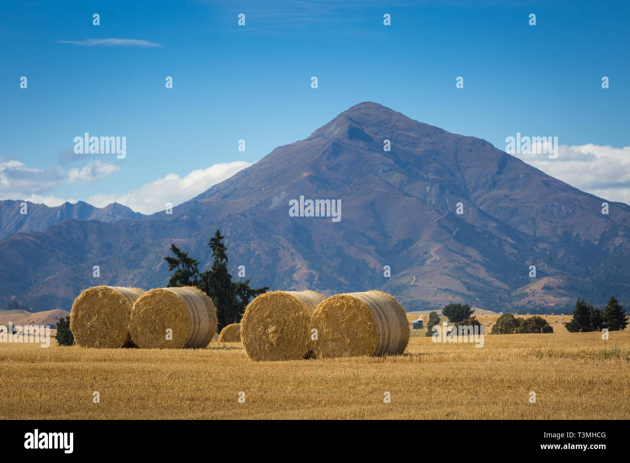 Hay bales in South Island, New Zealand Stock Photo Alamy